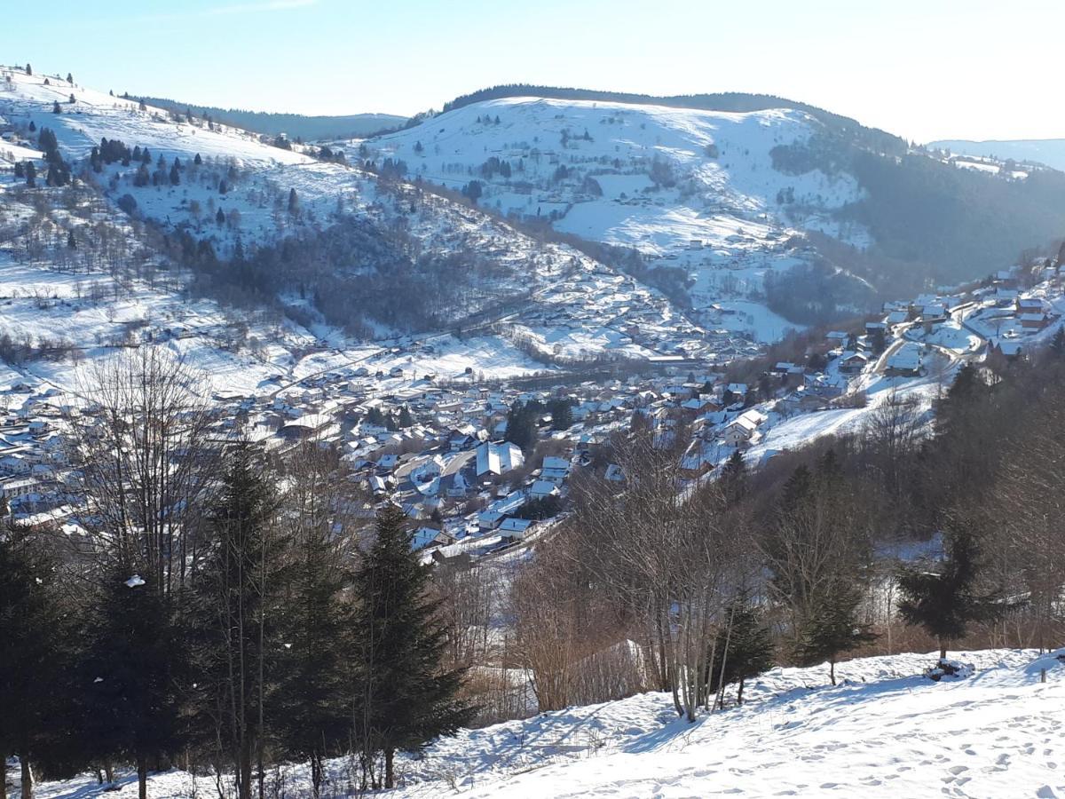Studio Le Panorama La Bresse Εξωτερικό φωτογραφία