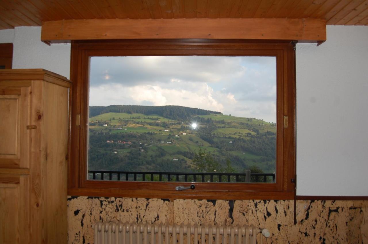 Studio Le Panorama La Bresse Εξωτερικό φωτογραφία